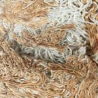 Best Pan Fried Noodles in Fresno, CA